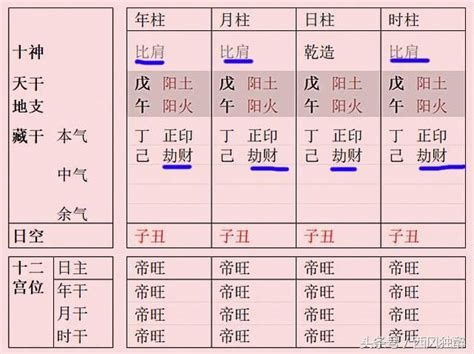 純陽之人|干支“純陰、純陽”的命格，其優勢與劣勢何在？